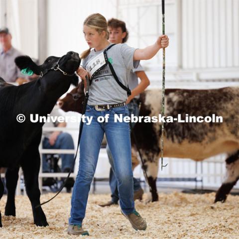 Reece Barnard of Beatrice eyes the judge during the intermediate division beef showmanship competition. 4H/FFA Beef Show at the Gage County Fair and Expo in Beatrice. July 28, 2023. Photo by Craig Chandler / University Communication.