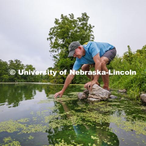 John DeLong collects water samples from Wildwood Lake northwest of Lincoln. DeLong published the first study investigating and demonstrating the effects of “virovory” – the phenomenon of Halteria eating infectious chloroviruses in an aquatic habitat. The experiments showed, for the first time, that a virus-only diet can fuel physiological growth and even population growth of an organism. Photo used for 2022-2023 Annual Report on Research at Nebraska. August 3, 2023. Photo by Craig Chandler/ University Communication.