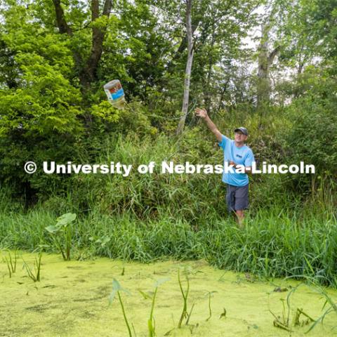 John DeLong collects water samples from Wildwood Lake northwest of Lincoln. DeLong published the first study investigating and demonstrating the effects of “virovory” – the phenomenon of Halteria eating infectious chloroviruses in an aquatic habitat. The experiments showed, for the first time, that a virus-only diet can fuel physiological growth and even population growth of an organism. Photo used for 2022-2023 Annual Report on Research at Nebraska. August 3, 2023. Photo by Craig Chandler/ University Communication.