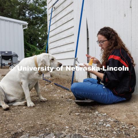 Marley Hewitt eats her lunch under the hopeful eyes of Nala, the farm dog of the residence. Filming of the movie using UNL students as the production crew. Richard Endacott earned multiple awards for his screenplay, "Turn Over." Story about keeping the family farm operating in the modern era as two brothers come together via restoring an old tractor to help fund their operations. August 9, 2023. Photo by Craig Chandler / University Communication.