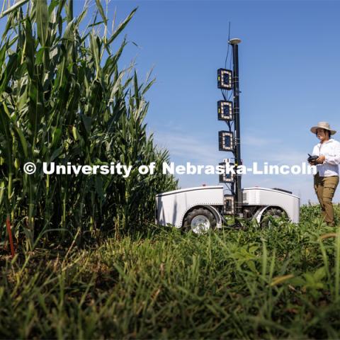 Lina Lopez-Corona, research technician with James Schnable’s group runs Phenobot through corn rows in a field northeast of 84th and Havelock. Phenobot is a robot that measures leaf angle on corn to see how well the plant is performing photosynthesis. What used to be done by hand using protractors is now quickly done by the robot with a remote-controlled robot fitted with cameras and lights. August 10, 2023. Photo by Craig Chandler/ University Communication.