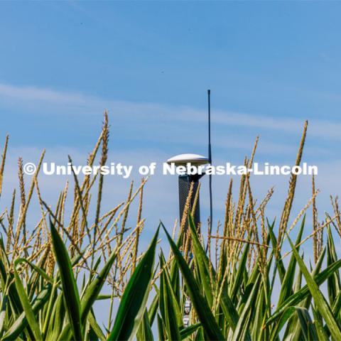 James Schnable’s group is testing Phenobot, a robot that measures leaf angle on corn to see how well the plant is performing photosynthesis. What used to be done by hand using protractors is now quickly done by a camera fitted with cameras and lights being guided up and down the rows. August 10, 2023. Photo by Craig Chandler/ University Communication.