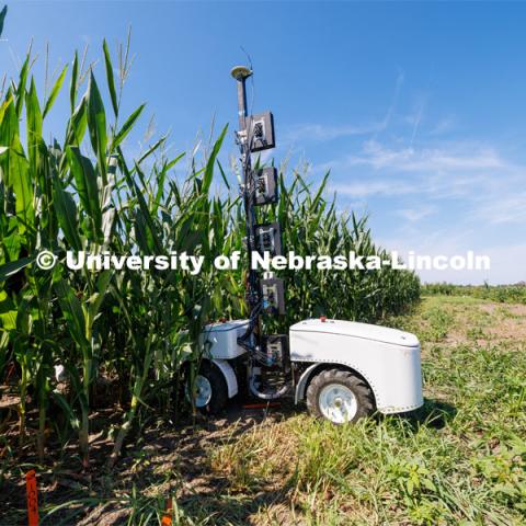 James Schnable’s group is testing Phenobot, a robot that measures leaf angle on corn to see how well the plant is performing photosynthesis. What used to be done by hand using protractors is now quickly done by a camera fitted with cameras and lights being guided up and down the rows. August 10, 2023. Photo by Craig Chandler/ University Communication.