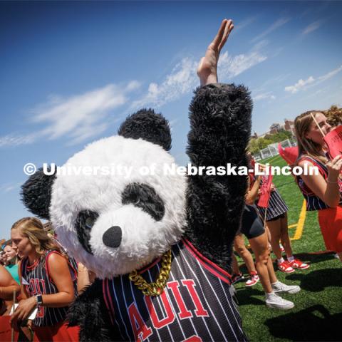 Elsie McCabe, a senior from Omaha, wearing a panda costume as part of her Alpha Omicron Pi group greeting their new members on the Vine Street Fields. Sorority Bid Day in the Cather Dining Complex and on the Vine Street Fields. August 19, 2023. Photo by Craig Chandler / University Communication.