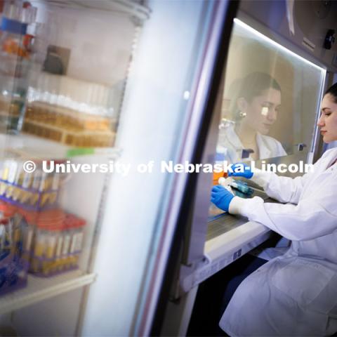 Vanessa Whitmore, a graduate student who is UNL’s first National GEM Consortium fellow, works in her Nebraska Food Innovation Center lab. August 22, 2023. Photo by Craig Chandler / University Communication.