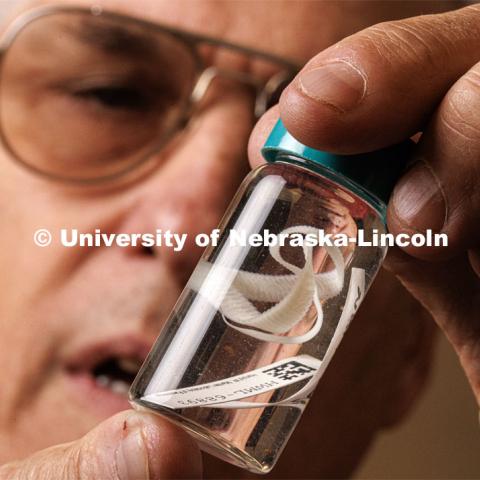 Scott Gardner looks over tapeworm samples in his lab. He has several NSF-funded One Health projects related to parasitology. Photo used for 2022-2023 Annual Report on Research at Nebraska. September 6, 2023. Photo by Craig Chandler / University Communication.