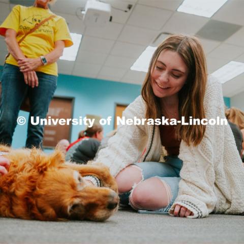 Students pet therapy dog, Remington in the Love Library and Dinsdale Family Learning Commons to de-stress during Big Red Pawp-Up. Therapy dogs on campus. September 7, 2023. Photo by Jonah Tran / University Communication.