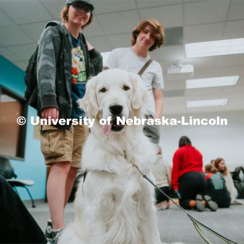 Students pet therapy dog, Carl in the Love Library and Dinsdale Family Learning Commons to de-stress during Big Red Pawp-Up. Therapy dogs on campus. September 7, 2023. Photo by Jonah Tran / University Communication.