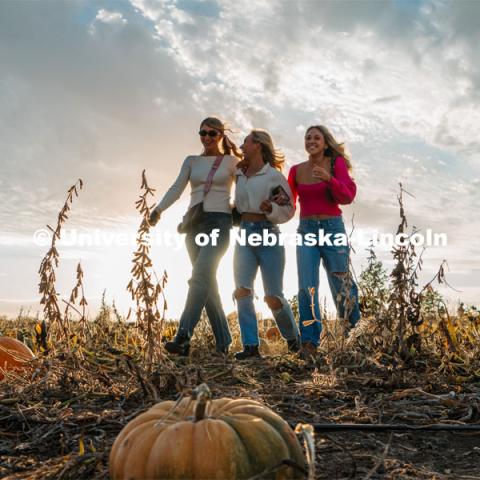 Husker Cheer Squad hike through the pumpkin patch at Roca Berry Farm. About Lincoln at Roca Berry Farm. October 22, 2023. Photo by Matthew Strasburger / University Communication.