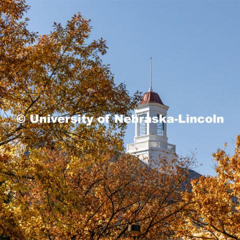 Love Library cupola is framed by fall leaves. Fall on city campus. November 7, 2023. Photo by Craig Chandler / University Communication and Marketing.