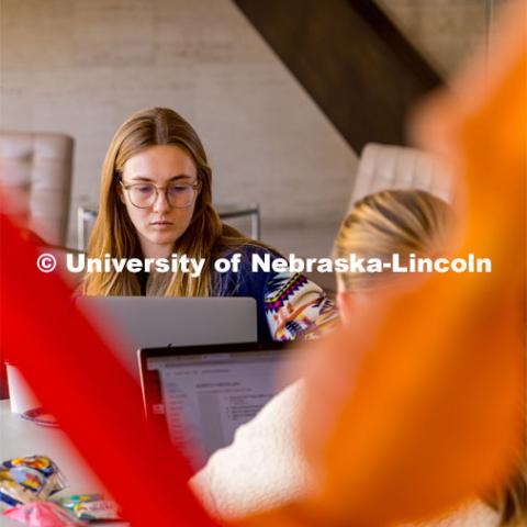 Students studying at the Sheldon Museum. December 06, 2023. Photo by Kristen Labadie / University Communication.