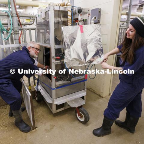 Paul Kononoff, Professor of Animal Science, left, and graduate student Addison Carroll, hook up Lila, a 10-month-old jersey cow in the portable booth where her breath will be measured and sampled. Kononoff is measuring methane gas produced by cattle. To measure the gas, a cow is surrounded by a phone-booth like structure where the cow eats and drinks as the air is collected and sampled. December 15, 2023. Photo by Craig Chandler / University Communication and Marketing.