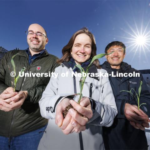 James Schnable (from left), Rebecca Roston and Toshihiro Obata hold young sorghum plants outside of the Bioscience Greenhouses on City Campus. The researchers are part of a $1.8 million grant from the National Science Foundation to try to boost the cold tolerance of sorghum, and eventually corn and other crops, by harnessing the power of the plant’s circadian rhythms. January 16, 2024. Photo by Craig Chandler / University Communication and Marketing.