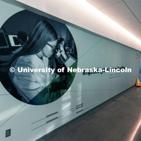 One of the graphics in an east-end passageway. Kiewit Hall. January 16, 2024. Photo by Craig Chandler / University Communication and Marketing.