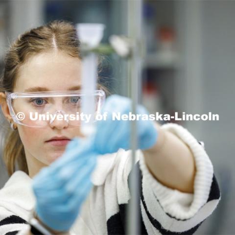 Anna Zingler works to get her solution to drip through the test setup to awaiting test tubes. Students isolate and purify lysozyme from actual egg whites in BIOC 401L - Laboratory for Elements of Biochemistry. February 13, 2024. Photo by Craig Chandler / University Communication and Marketing.