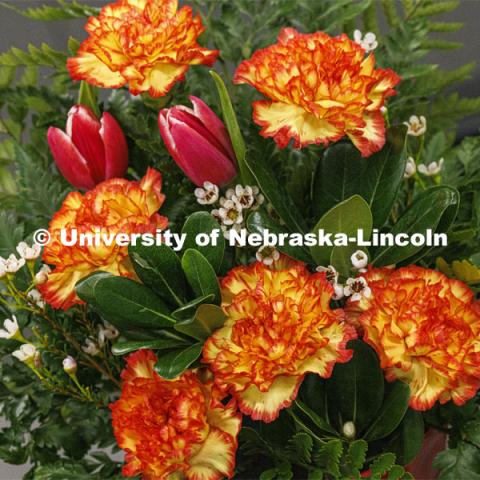 Floral arrangement of carnations and tulips. Stacy Adams teaches PLAS 261 - Floral Design I in the Plant Science Building on East Campus. February 14, 2024. Photo by Craig Chandler / University Communication and Marketing.