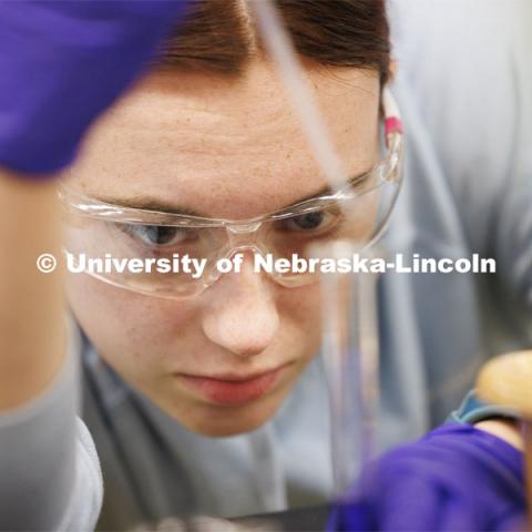 Riley Kinnan dilutes a solution during a lab entitled “kinetics at work”. Hamilton Hall chemistry 110 lab. February 29, 2024. Photo by Craig Chandler / University Communication and Marketing.