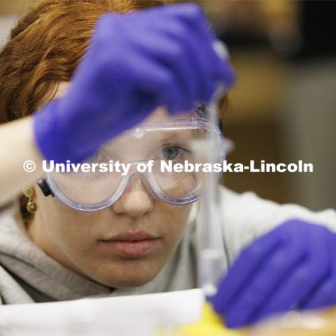 Grace Schlueter dilutes a solution during a lab entitled “kinetics at work”. Hamilton Hall chemistry 110 lab. February 29, 2024. Photo by Craig Chandler / University Communication and Marketing.