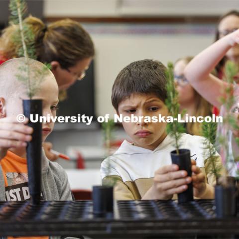 Wyatt McClung, right, and Brennden Reyes adjust their Colorado blue spruce trees in a growing rack. Jack Hilgert, Conservation Education Coordinator for the Nebraska Forest Service, teaches second graders about trees at Humboldt-Table Rock-Steinauer school in Humboldt, Nebraska. Each student was given a Colorado blue spruce seedling to raise in the classroom while they learn about trees. March 25, 2024. Photo by Craig Chandler / University Communication and Marketing.