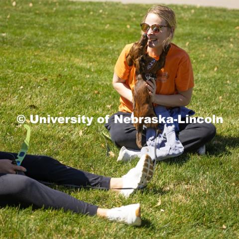 Two friends play with a puppy while waiting for the eclipse to begin at the East Campus Loop. April 8, 2024. Photo by Kristen Labadie / University Communication.