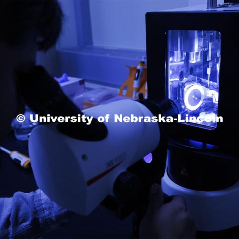 Eduardo Romero, Research Assistant Professor, views a sample before being placed in the Cryo-Transmission Electron Microscope. CyroEM Core Facility in the Morrison Center on UNL’s East Campus. April 23, 2024. Photo by Craig Chandler / University Communication and Marketing.