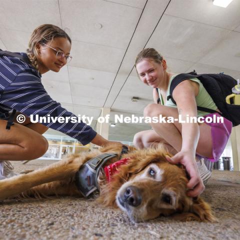 Natalie Roberts and Taylor Pierce give Remington a scratch. Therapy dogs from Domesti-PUPS are on campus this week from 1-2 pm in-between Love Library North and South. Finals week on campus. May 14, 2024. Photo by Craig Chandler / University Communication and Marketing.