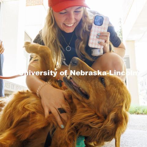 Brooke Murphy gives Poppy Joy Firework a scratch. Therapy dogs from Domesti-PUPS are on campus this week from 1-2 pm in-between Love Library North and South. Finals week on campus. May 14, 2024. Photo by Craig Chandler / University Communication and Marketing.