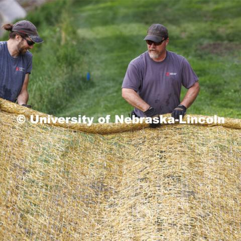 Ben Holmes, left, and Brian Dieterman unroll a straw mat to cover newly seeded ground around the new pedestrian bridge at East Campus’ Maxwell Arboretum. Landscape Services. May 30, 2024. Photo by Craig Chandler / University Communication and Marketing.