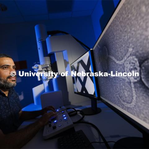 Bara Altartouri, a post-doc research associate in the Center for Biotechnology, looks over an image of a bacteriophage, viruses that infect and replicate only in bacterial cells, imaged at 100,000X magnification from the center’s Hitachi HT7800 transmission electron microscope in the Morrison Microscopy Core Research Facility. June 12, 2024. Photo by Craig Chandler / University Communication and Marketing.