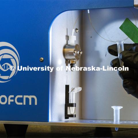 Sushmita Kumari, a graduate student in Integrative Biomedical Science, loads a sample into a machine in the Flow Cytometry lab in the Morrison Center. June 13, 2024. Photo by Craig Chandler / University Communication and Marketing