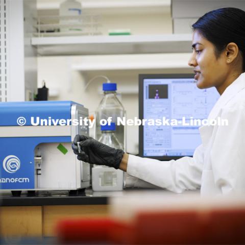 Sushmita Kumari, a graduate student in Integrative Biomedical Science, loads a sample into a machine in the Flow Cytometry lab in the Morrison Center. June 13, 2024. Photo by Craig Chandler / University Communication and Marketing
