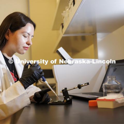 Kassandra Durazo-Martineza, a graduate student in animal science, pipettes a sample in the Flow Cytometry lab in the Morrison Center. Nebraska Center for Biotechnology. June 13, 2024. Photo by Craig Chandler / University Communication and Marketing.