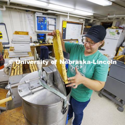 Shelby Kittle, graduate student in entomology, loads frames from a beehive into a honey extractor to remove the honey. The hives (seen to Shelby’s right) are brought into the bee lab in Entomology Hall for harvesting. June 25, 2024. Photo by Craig Chandler / University Communication and Marketing.