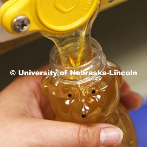 Nebraska honey fills the traditional honey bear bottle. Shelby Kittle, graduate student in entomology, harvests honey from bee hives. June 25, 2024. Photo by Craig Chandler / University Communication and Marketing.
