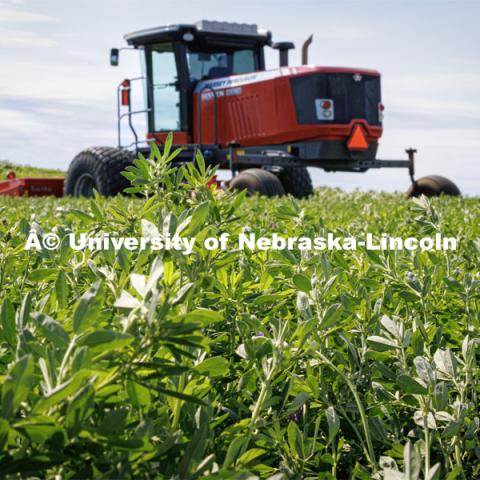 Filming a tractor in the field. Farming scenes. Behind the scenes photo for the university's new "Home Again" national advertisement. June 26, 2024. Photo by Kristen Labadie / University Communication.   