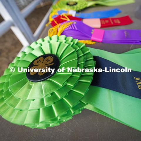 4-H Polk County Fair in Osceola, Nebraska. July 19, 2024.  Photo by Craig Chandler / University Communication and Marketing