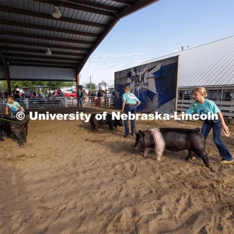 Junior showmanship contestants coax their pigs around the arena. 4-H Polk County Fair in Osceola, Nebraska. July 19, 2024.  Photo by Craig Chandler / University Communication and Marketing.