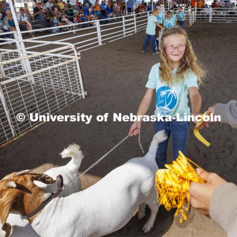 A young girl receives a yellow ribbon for her goat entry. 4-H Polk County Fair in Osceola, Nebraska. July 19, 2024. Photo by Craig Chandler / University Communication and Marketing.