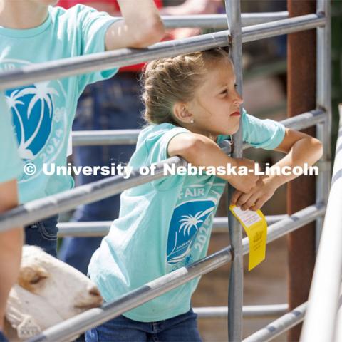 A young girl holds her yellow ribbon while watching the activities through a fence. 4-H Polk County Fair in Osceola, Nebraska. July 19, 2024. Photo by Craig Chandler / University Communication and Marketing.