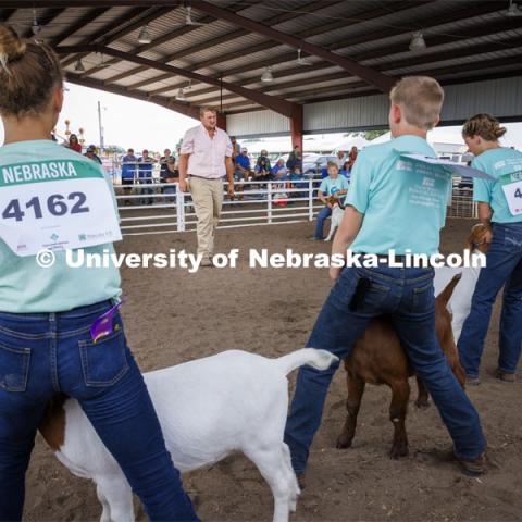 Goat judge John Alfs eyes the entries in the Meat Goat Junior Showmanship competition. 4-H Polk County Fair in Osceola, Nebraska. July 19, 2024. Photo by Craig Chandler / University Communication and Marketing.