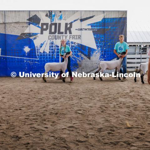 Judge John Alfs eyes the entries in the Sheep Showmanship competition. 4-H Polk County Fair in Osceola, Nebraska. July 19, 2024. Photo by Craig Chandler / University Communication and Marketing.