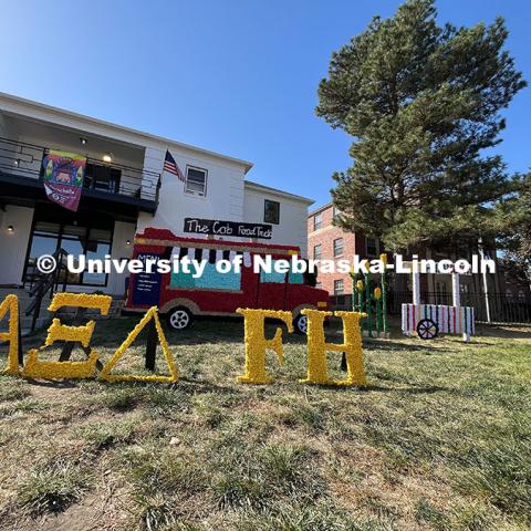 Yard Displays for Nebraska vs Rutgers homecoming game and Cornchella festival. October 5, 2024. Photo by Katie Black / University Communication and Marketing.