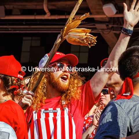 Husker Fans hold stalks of corn at the Nebraska vs Rutgers football game. Homecoming game. October 5, 2024. Photo by Kristen Labadie / University Communication.