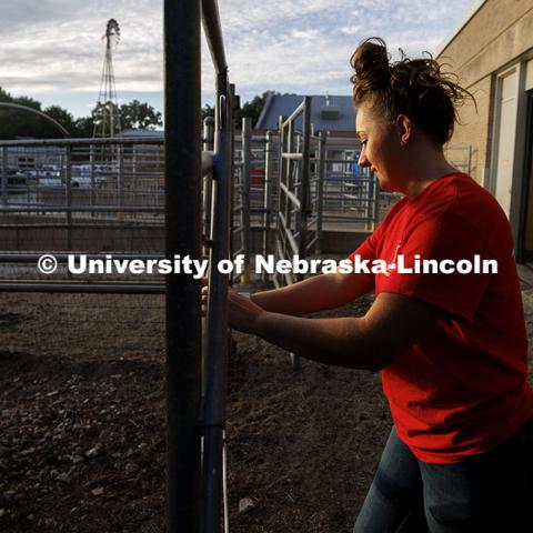 McKenna Carr locks a gate after moving calves early in the morning. Three student workers in the Animal Science building live in an apartment in the building. October 14, 2024. Photo by Craig Chandler / University Communication and Marketing.