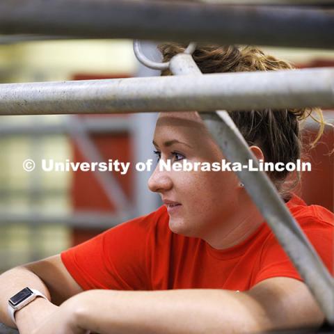 McKenna Carr watches as cattle move to another area. Three student workers in the Animal Science building live in an apartment in the building. October 14, 2024. Photo by Craig Chandler / University Communication and Marketing.