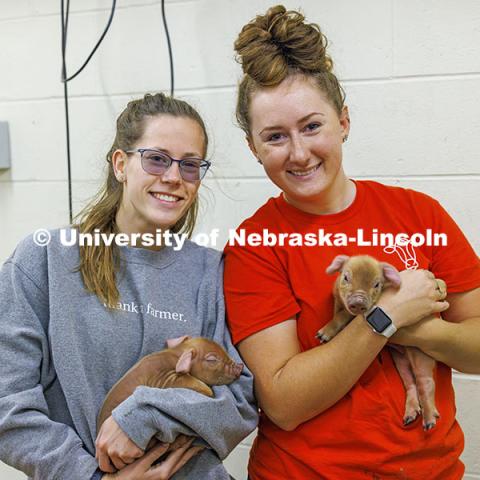 Breanna Gilmore and McKenna Carr pose with baby pigs. Three student workers in the Animal Science building live in an apartment in the building. October 14, 2024. Photo by Craig Chandler / University Communication and Marketing.