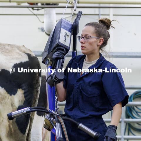 Breanna Gilmore carries the portable milking equipment to the next dairy cow being milked early Thursday morning. Three student workers in the Animal Science building live in an apartment in the building. October 17, 2024. Photo by Craig Chandler / University Communication and Marketing.