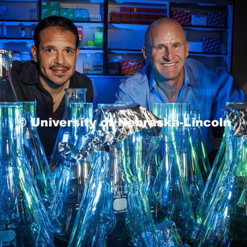 Jay Storz, right, and Naim Martinez Bautista are part of an international research team that studied how localized genetic adaptations can help a single species thrive across diverse environments. They are comparing groups of mice in Nebraska to higher altitude mice in the Rockies and the Andies mountains. October 15, 2024. Photo by Craig Chandler / University Communication and Marketing.