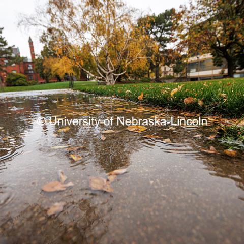 Rain puddle outside of the Sheldon Art Museum. Fall on City Campus. October 30, 2024. Photo by Kristen Labadie / University Communication.