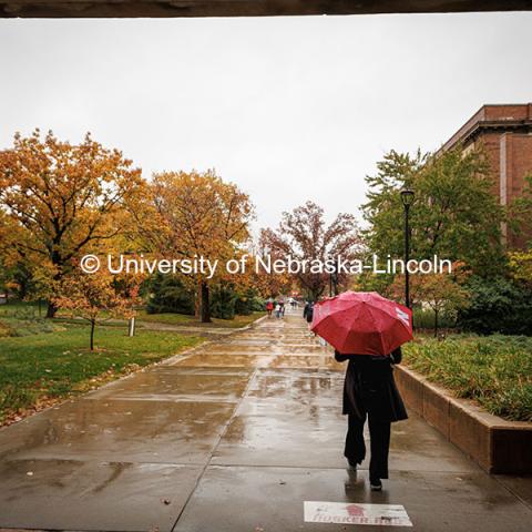 A student walks in the rain by the libraries with an umbrella. Fall on City Campus. October 30, 2024. Photo by Kristen Labadie / University Communication.